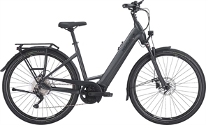 PEGASUS PREMIO EVO 10 750WH