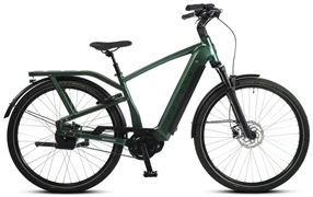 OXFORD BOX 19.1 800 WH