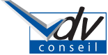 VDV CONSEIL