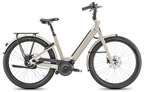 MOUSTACHE LUNDI 27.6 625 WH 2024